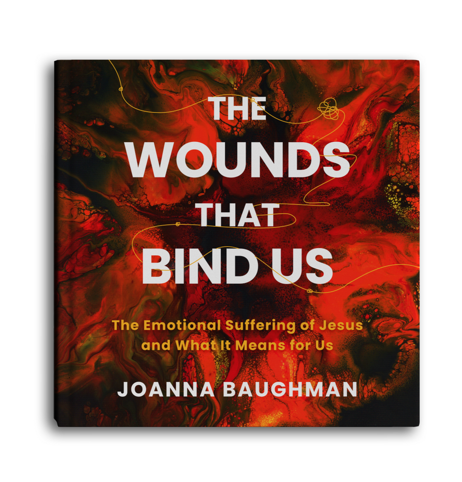 The Wounds That Bind Us book cover